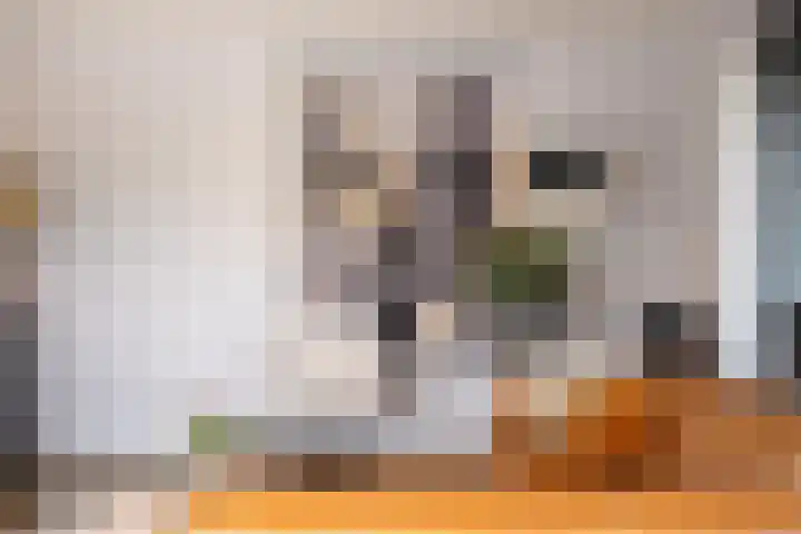 Heemraad 38 Meerstad thumbnail 14