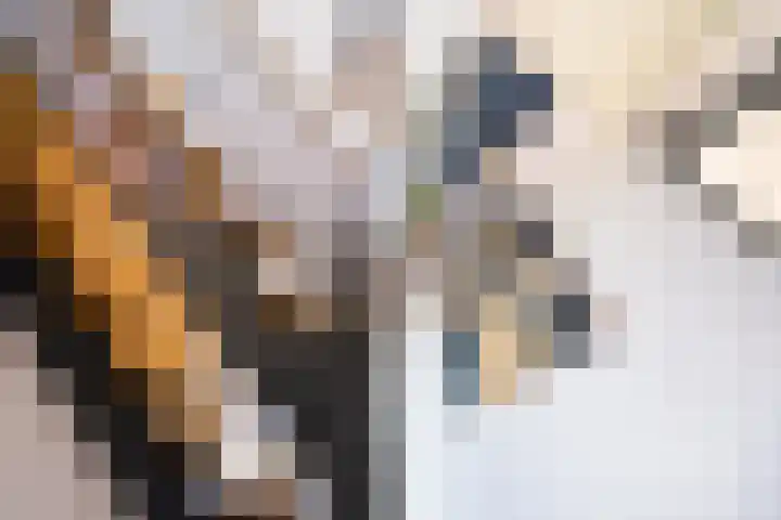 Heemraad 38 Meerstad thumbnail 33
