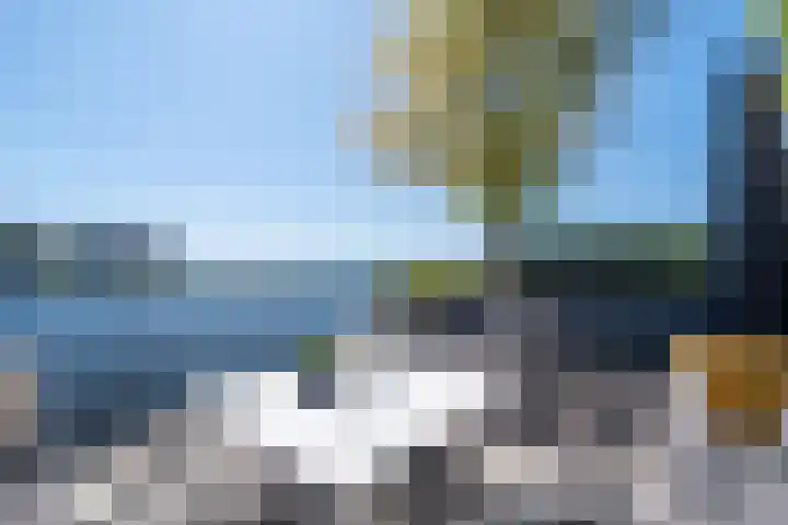 Heemraad 38 Meerstad thumbnail 58