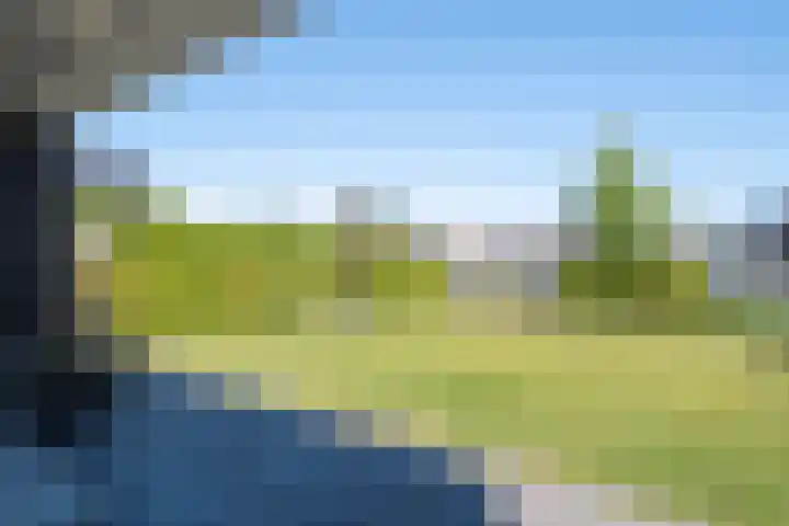 Heemraad 38 Meerstad thumbnail 61