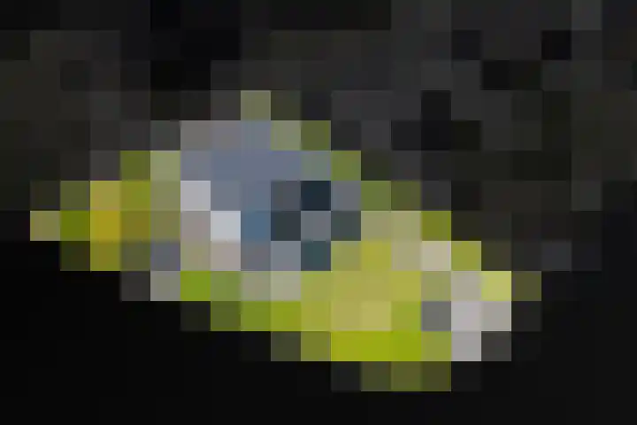 Heemraad 38 Meerstad thumbnail 69