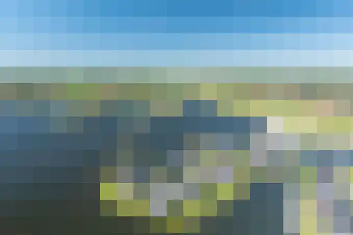 Heemraad 38 Meerstad thumbnail 70