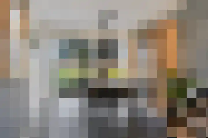 Heemraad 71 Zwaag thumbnail 14