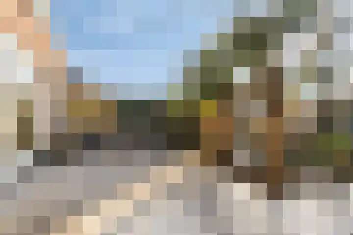 Heemraad 71 Zwaag thumbnail 32