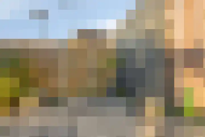 Heemraad 71 Zwaag thumbnail 35