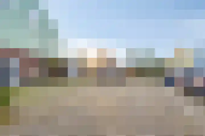 Heemraad 71 Zwaag thumbnail 39