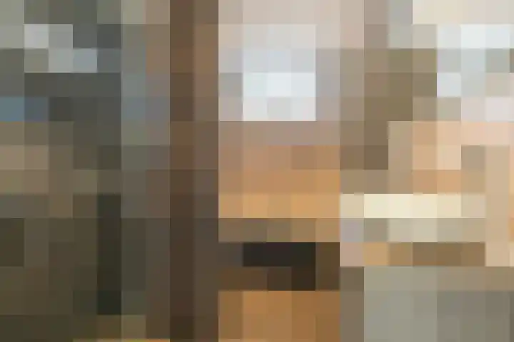 Heemraad 71 Zwaag thumbnail 4