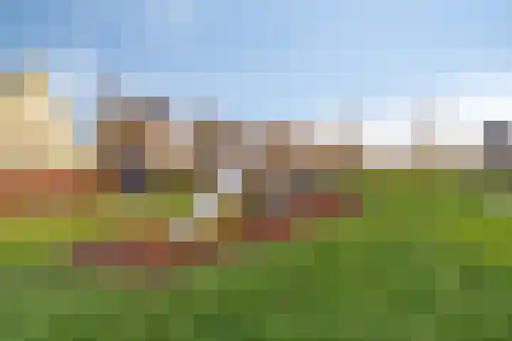 Heemraad 71 Zwaag thumbnail 42
