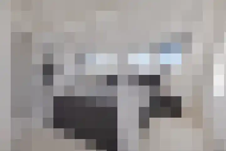 Heemraad 71 Zwaag thumbnail 5
