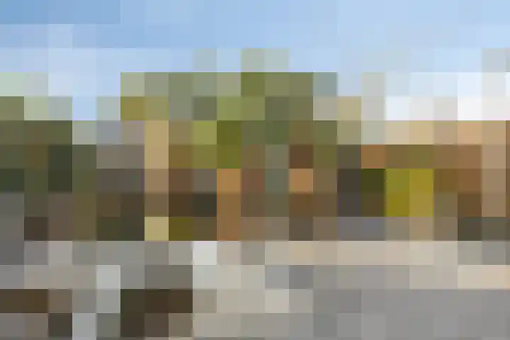 Heemraad 71 Zwaag thumbnail 6