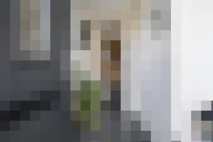 Heemraad 71 Zwaag thumbnail 8