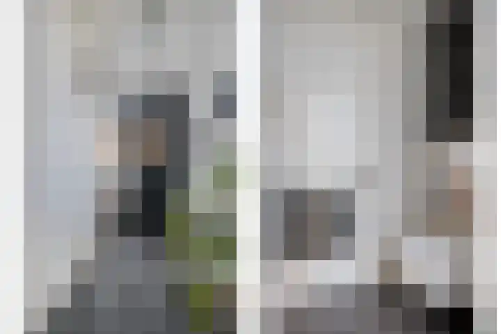 Heemraad 71 Zwaag thumbnail 9
