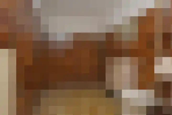 Heemraadsingel 41 Ter Aar thumbnail 12