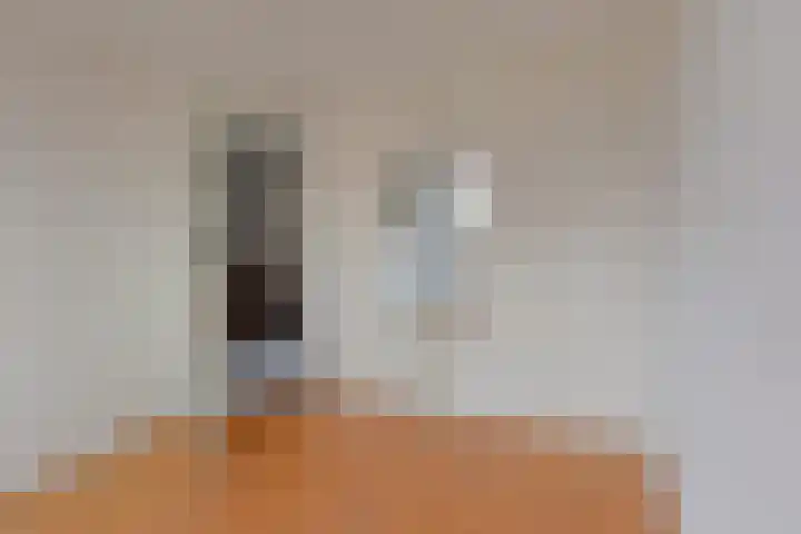 Heemraadsingel 41 Ter Aar thumbnail 16