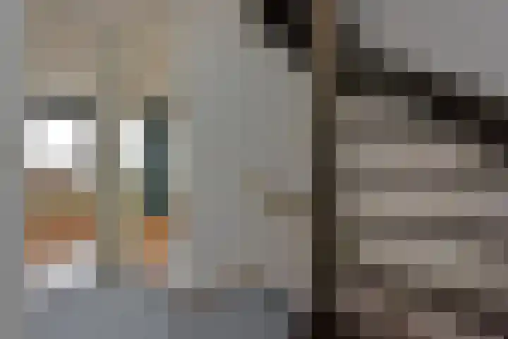 Heemraadsingel 41 Ter Aar thumbnail 17