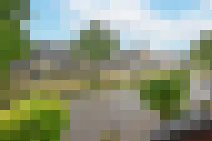 Heemraadsingel 41 Ter Aar thumbnail 21