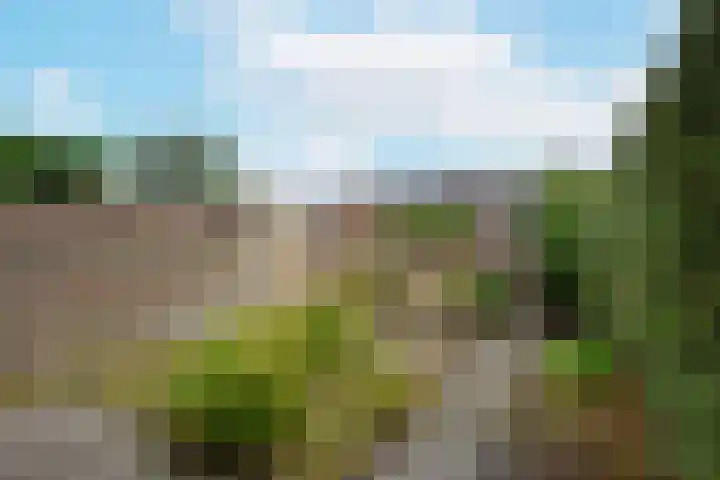 Heemraadsingel 41 Ter Aar thumbnail 22