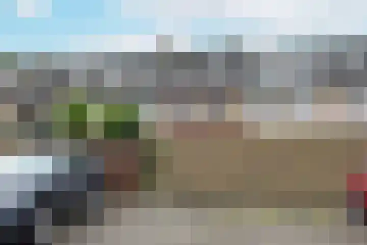 Heemraadsingel 41 Ter Aar thumbnail 23