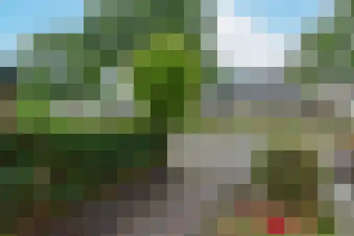 Heemraadsingel 41 Ter Aar thumbnail 24