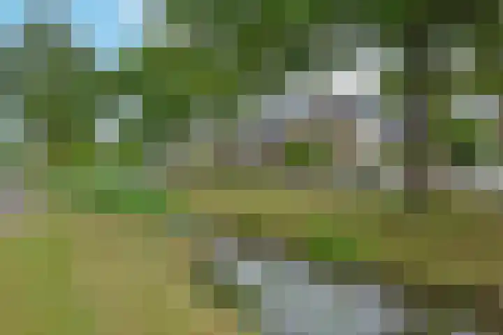 Heemraadsingel 41 Ter Aar thumbnail 25