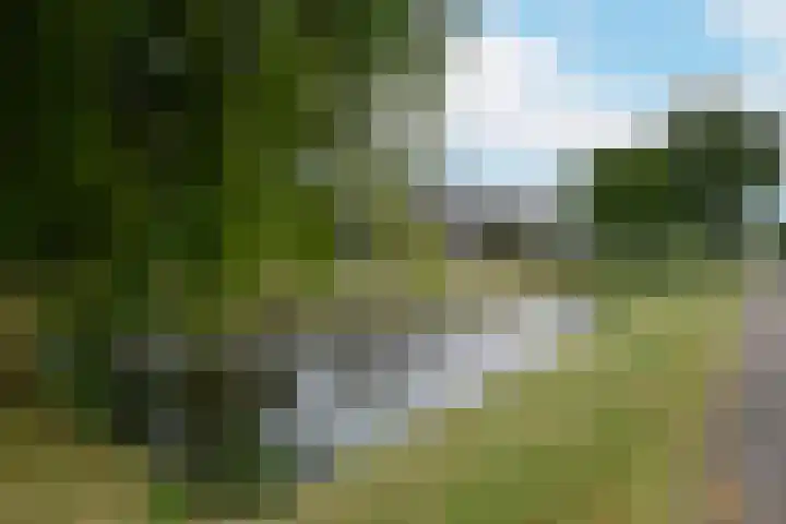 Heemraadsingel 41 Ter Aar thumbnail 27