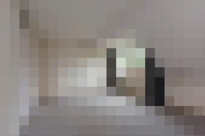 Heemraadsingel 41 Ter Aar thumbnail 9