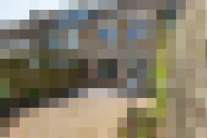 Heemraadsingel 45 Ter Aar thumbnail 15