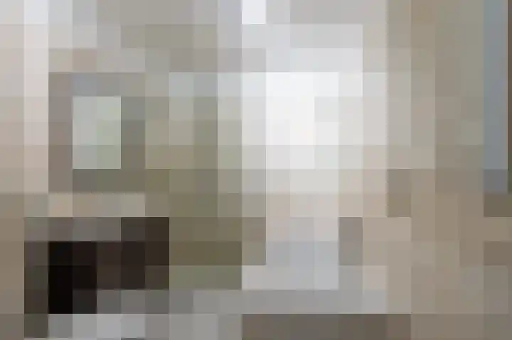 Heemraadsingel 45 Ter Aar thumbnail 22