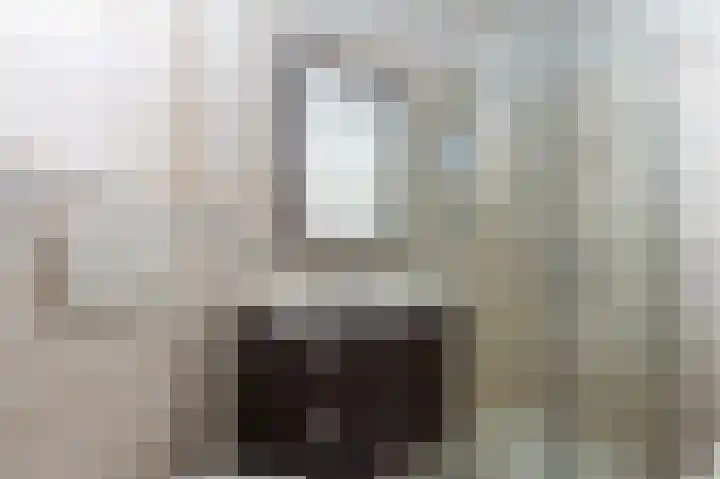 Heemraadsingel 45 Ter Aar thumbnail 23