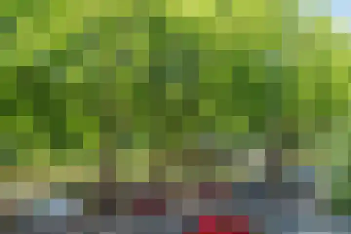 Heemraadssingel 103 BE Rotterdam thumbnail 24