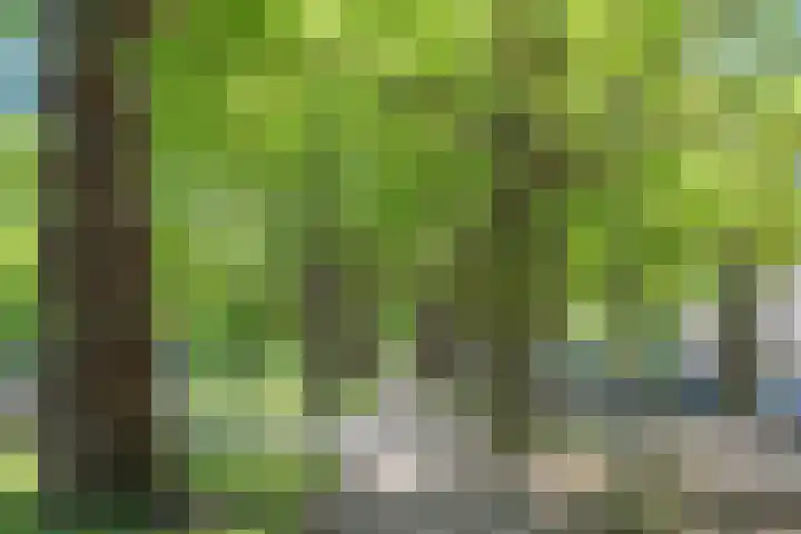 Heemraadssingel 103 BE Rotterdam thumbnail 26