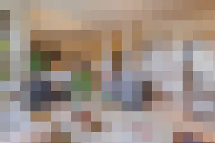 Heemskerklaan 16 Velp thumbnail 14