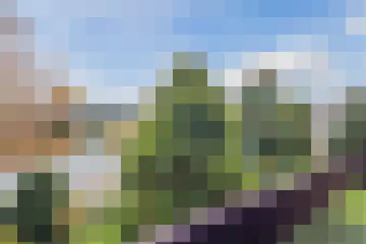 Heemskerklaan 16 Velp thumbnail 18