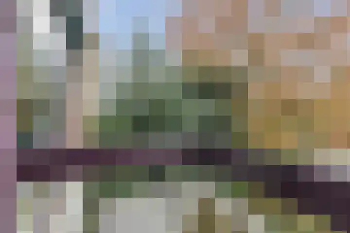 Heemskerklaan 16 Velp thumbnail 19
