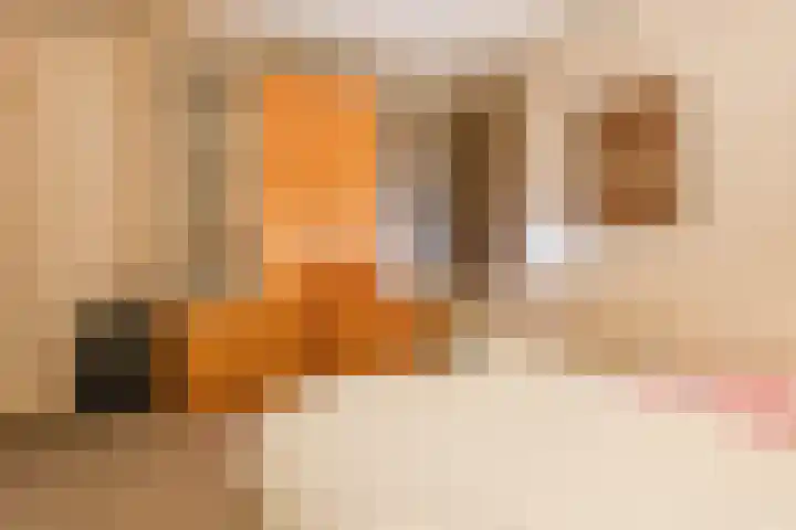 Heemskerklaan 16 Velp thumbnail 30