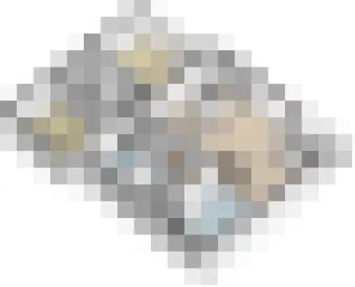 Heemskerklaan 16 Velp thumbnail 4