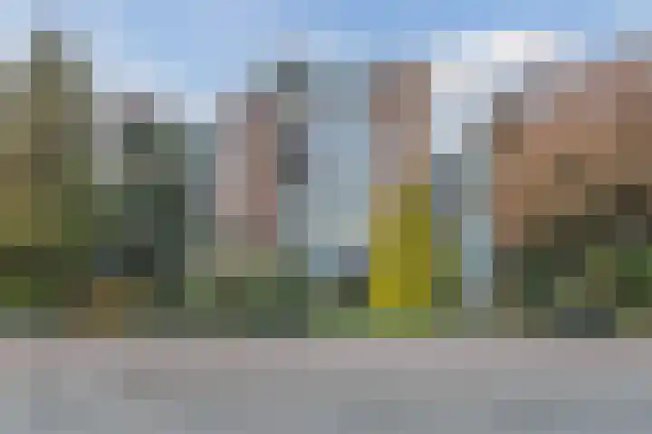 Heemskerklaan 16 Velp thumbnail 48