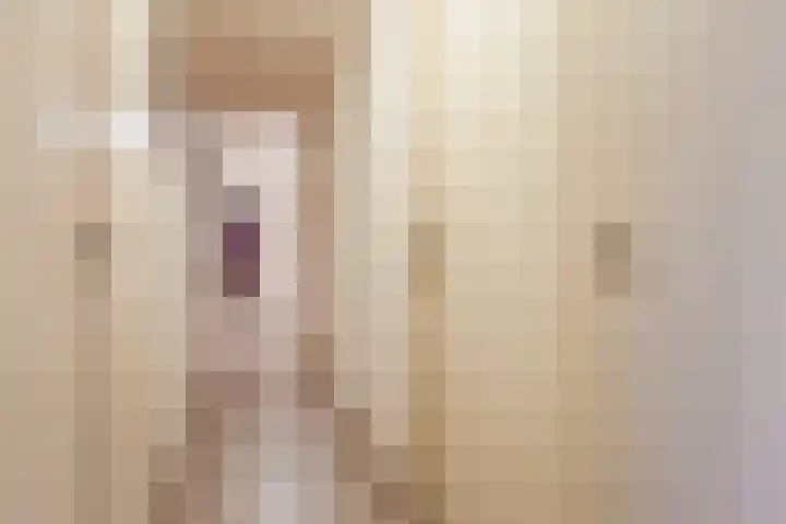 Heemskerklaan 16 Velp thumbnail 5