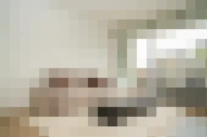 Heemskerklaan 33 Velp thumbnail 13