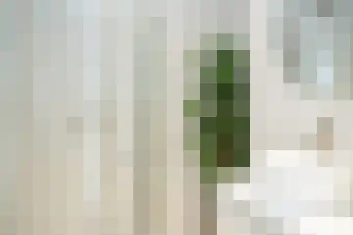 Heemskerklaan 33 Velp thumbnail 22