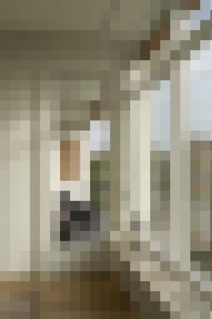 Heemskerklaan 33 Velp thumbnail 27