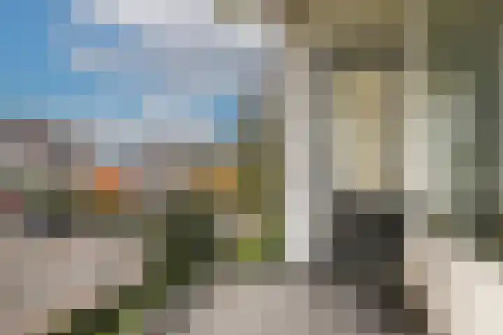 Heemskerklaan 33 Velp thumbnail 28