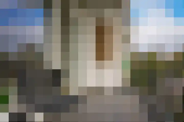Heemskerklaan 33 Velp thumbnail 29