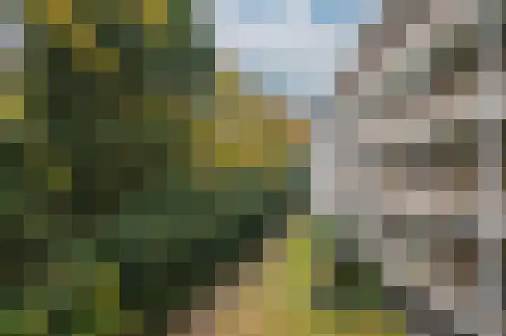 Heemskerklaan 33 Velp thumbnail 31