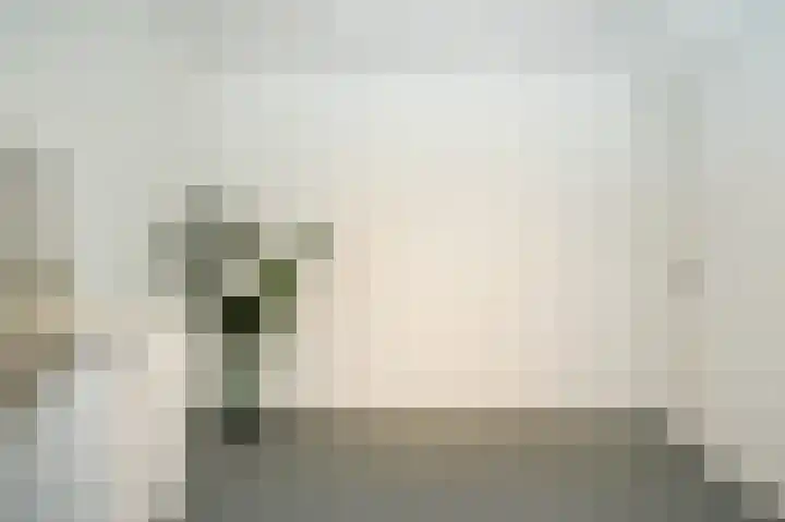 Heemskerklaan 33 Velp thumbnail 34