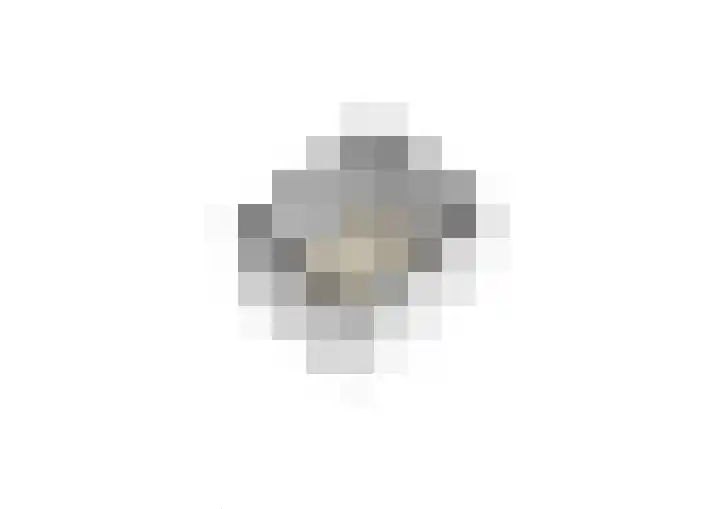 Heemskerklaan 33 Velp thumbnail 45