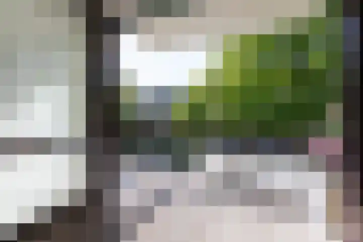 Heemskerklaan 38 Velp thumbnail 14