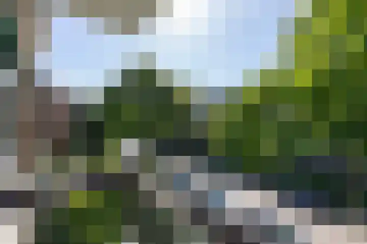 Heemskerklaan 38 Velp thumbnail 16