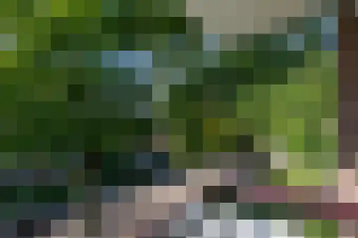 Heemskerklaan 38 Velp thumbnail 17