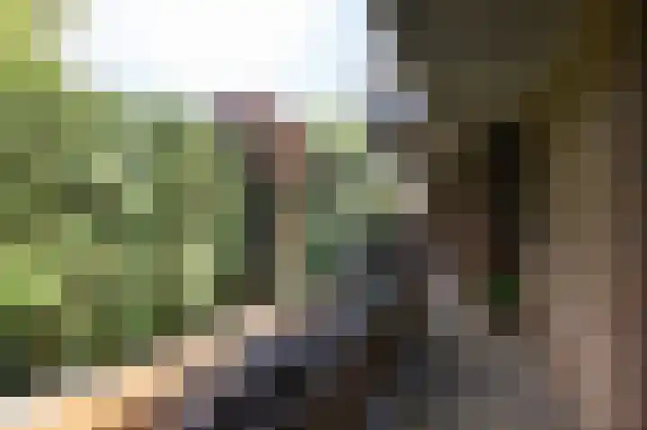 Heemskerklaan 38 Velp thumbnail 31